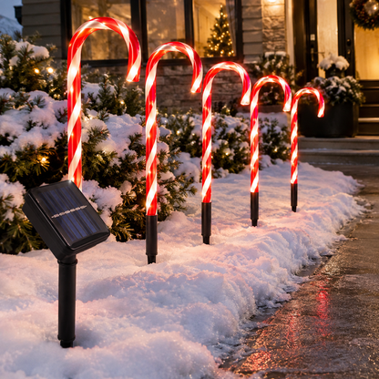 Solar Candy Cane Path Lights
