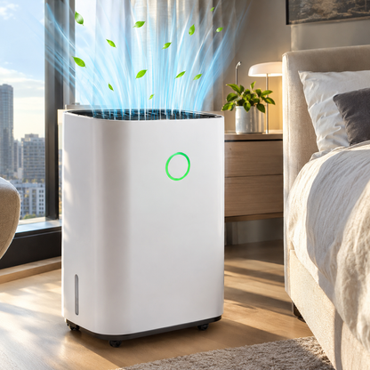 Compact Dehumidifier (20L/Day)
