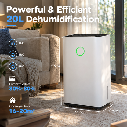 Compact Dehumidifier (20L/Day)