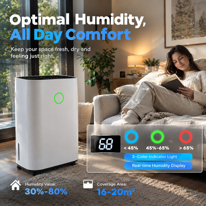 Compact Dehumidifier (20L/Day)